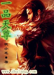 一品天香茶叶是什么茶